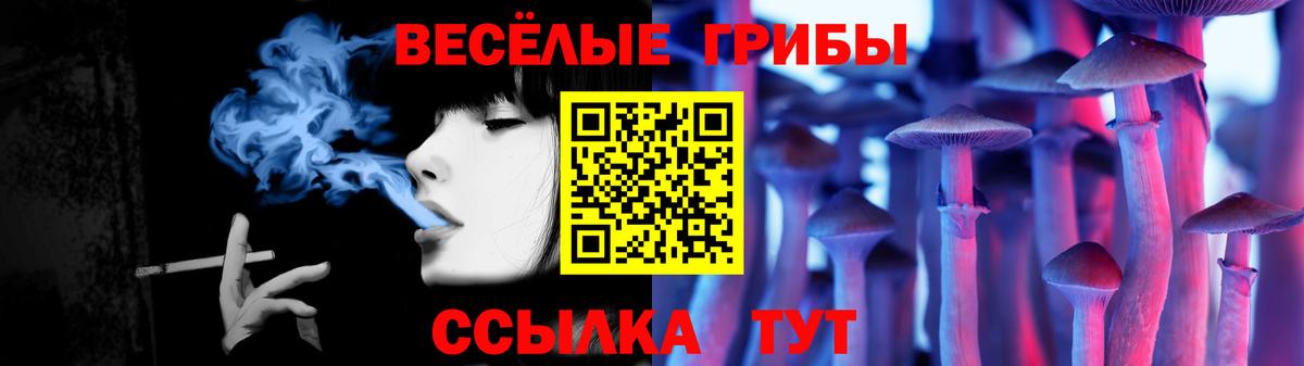 закладка  Вход с VPN  Балахна  Псилоцибиновые грибы мицелий 